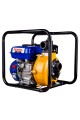 PA20TH EUR5 YÜKSEK BASINÇLI SU MOTORU 2"