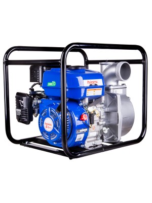 Palmera Pa30t Eur5 Su Motoru 3"